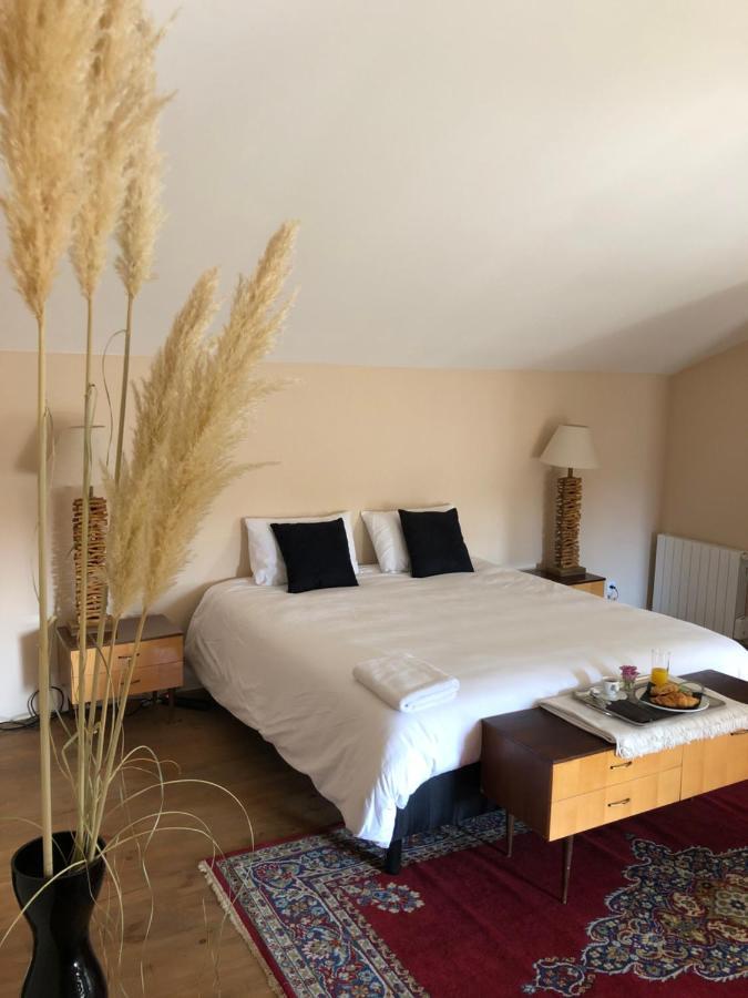 La Belle Epoque - Chambres D'Hotes & Spa Damvix 外观 照片